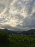 飞鹤星飞帆3段幼儿配方奶粉(1-3岁) 700g专利OPO A2奶源 实拍图