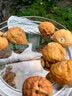 南同神州同仁堂新疆日晒无花果果肉饱满舒缓口鼻干燥热泡水煲汤天然干货 实拍图