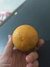 京觅秭归脐橙夏日鲜橙榨汁鲜采不分级净重8斤120g+水果源头直发包邮 实拍图