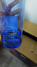 红星二锅头 蓝瓶绵柔8陈酿 清香型白酒 43度 750ml*6瓶 整箱装口粮酒 实拍图
