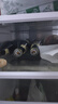 范佳乐(原教士啤酒) 小麦黑啤酒450ml×12瓶整箱装京东自营 实拍图