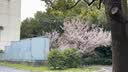 尊匠苹果充电器17-6适配器原装正品充电线13氮化镓30/45W快充线PD套装iPhone14ProMax手机充电头数据线 【苹果6-14系列】30w快充头+闪充线丨1米套装 实拍图