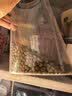 首粮有机东北绿豆2.2斤罐装夏季低脂绿豆汤可发芽打豆浆粗粮五谷杂粮 实拍图