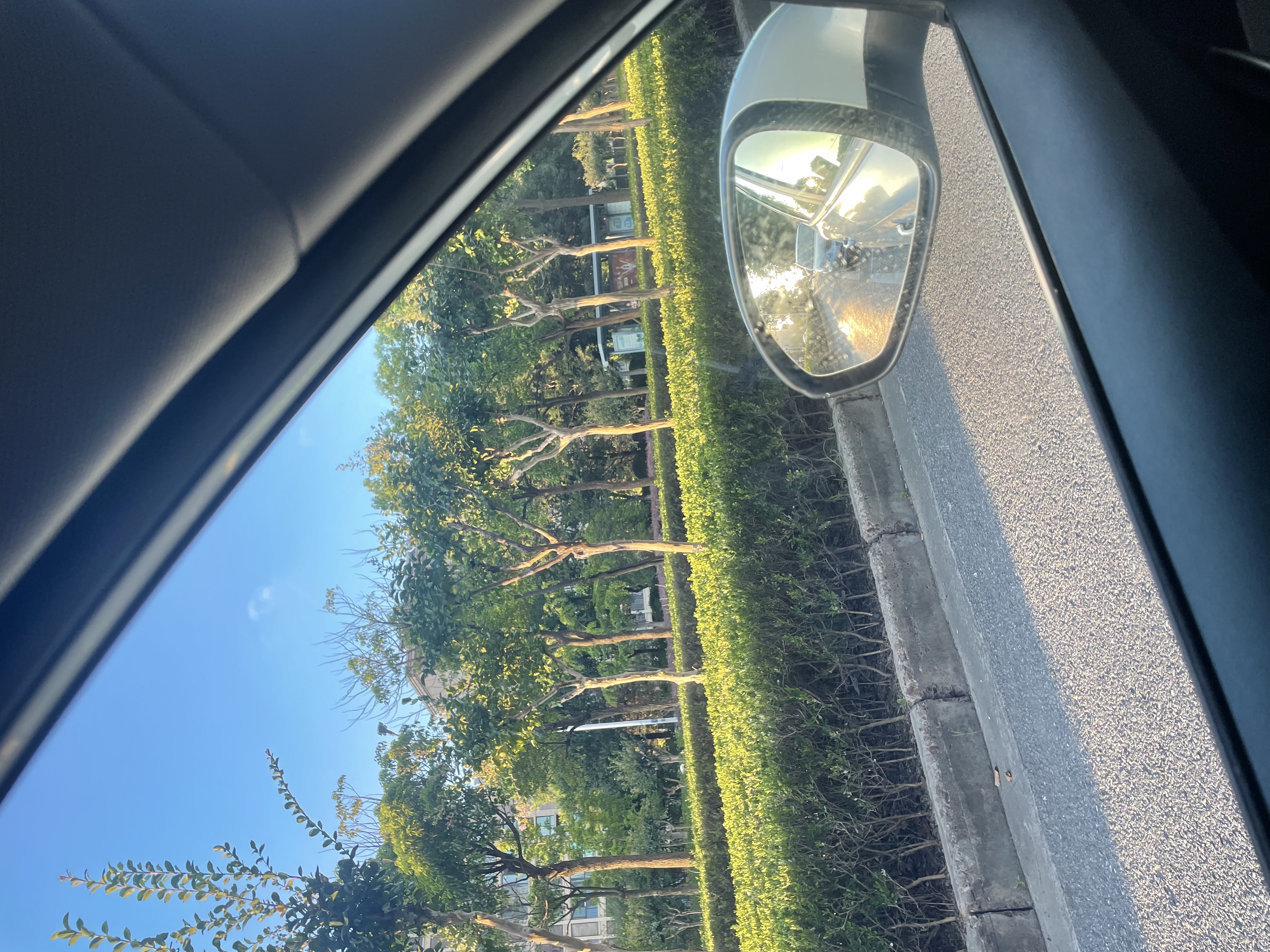 龙膜汽车贴膜侧窗玻璃膜新能源太阳膜车窗膜高隔热防晒膜缓解炫光高清晰防爆膜全国包施工--淡绿色 实拍图