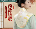 KYOLENS肩颈椎热敷海盐袋热敷包电加热披肩祛湿肩周炎艾灸理疗护颈神器 实拍图