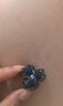 向晚发夹小抓夹女水钻小发夹女小夹子头顶小号抓夹侧边发卡七夕礼物女 实拍图