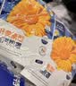 FIT MOMENT叶黄素蒸汽眼罩热敷缓解眼疲劳眼干眼涩发热敷贴遮光睡眠护眼50片 实拍图