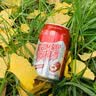 冰峰（ICEPEAK）酸梅汤风味饮料中华老字号310ml*24罐乌梅浓缩汁饮料整箱装 实拍图