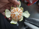 卉双云南新鲜青皮蜜桔10斤早熟蜜橘绿薄皮密桔子当季无籽酸甜孕妇水果 蜜桔 带箱3斤小果 净重2.5斤 实拍图