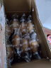 舌里 0脂原味全麦面包800g 高饱腹粗粮糕点心学生早餐零食代餐下午茶 实拍图