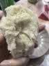 东菱（Donlim）无糖面包机双管加热智能双撒预约全自动多功能家用和面机26年新款面包机DL-4705Plus 实拍图