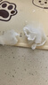水槽过滤网弹力袋口厨房洗菜盆一次性漏网水池下水道洗碗池防堵塞 【200只 加厚款】一次性过滤网 实拍图
