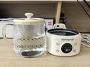 九阳（Joyoung）养生壶迷你家用全玻璃煮茶器 轻音炖煮办公室0金属0胶水恒温冲奶800W大功率烧水壶WY-PR2105（1L） 实拍图