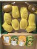佳沛（zespri）新西兰阳光金奇异果10粒巨大果单果146-175g 猕猴桃水果礼盒 实拍图