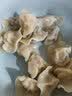 思念金牌虾水饺虾仁三鲜480g32只 生鲜速食夜宵儿童早餐速冻半成品 实拍图