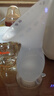 十月结晶集乳器硅胶集奶器漏奶接奶神器母乳收集手动集乳器吸奶后收集神器 实拍图