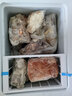 北极熊（BEIJIXIONG）冰柜家用冷柜小型一级能效全冷冻冷藏两用卧式储奶母乳速冻保鲜节能省电100升/200升/300升 单门单温138升【一级能效 全国联保】 138L 实拍图