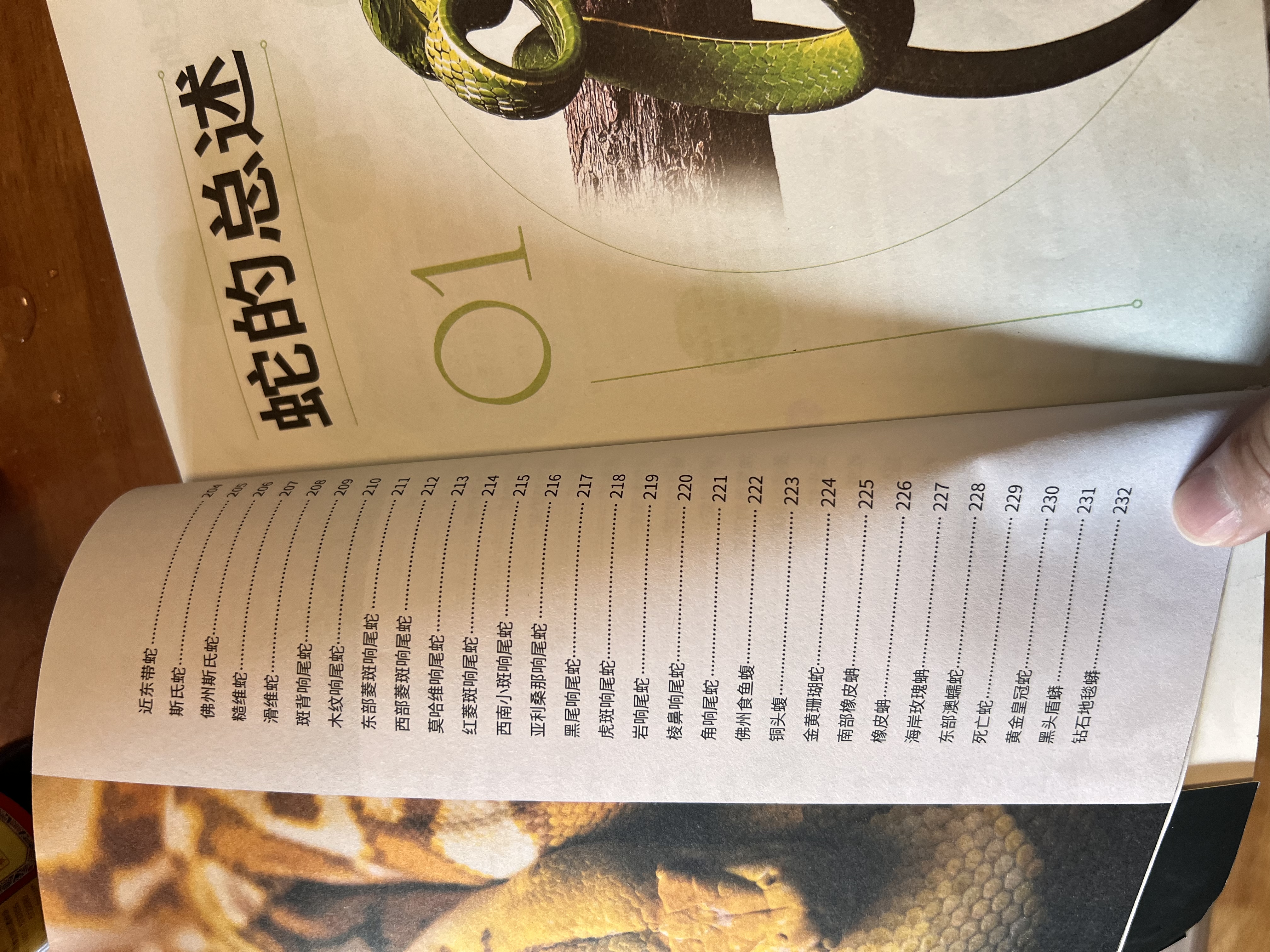 正版 蛇类图鉴 230幅原生态高清摄影 219种中外蛇类科普图鉴 彩图版蟒蛇蛇类百科全书图鉴蛇类特点习性行为习惯科普动物蛇类书籍 3册 蛇类图鉴+鸟图鉴+蝴蝶图鉴 实拍图