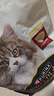 冠能猫粮成猫猫粮鸡肉味2.5kg+全价猫粮成猫三文鱼味2.5kg 混合口味 实拍图
