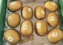 佳沛（zespri）新西兰阳光金奇异果10粒巨大果单果146-175g 猕猴桃水果礼盒 实拍图
