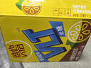 维他奶维他低糖柠檬味茶饮料250ml*16盒 家庭聚会 分享装 实拍图
