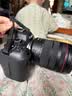 佳能（Canon）佳能r6二代 全画幅微单数码相机 R62 24-105变焦镜头 摄影摄像 高清直播 旅行拍照  扫街旅拍套装 实拍图