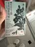 茶颜悦色茶小匣栀香绿桂花乌龙茉莉绿茶3风味 冻萃速溶茶粉共3盒21条*1g 实拍图