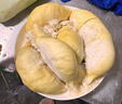 Kocotreekk树儿童防晒帽防紫外线宝宝遮阳帽夏季男童女童太阳帽沙滩大帽檐 实拍图