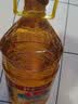 鲁花 食用油 物理压榨 葵花仁油6.18L  实拍图