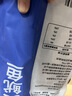 美加佳鲜冻整只大鱿鱼（2-3只） 净重550g 整条鱿鱼 深海捕捞聚餐 实拍图