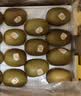 佳沛（zespri）新西兰 阳光金奇异果12粒特大果单果124-146g 猕猴桃水果礼盒 实拍图