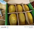 佳沛（zespri）新西兰  阳光金奇异果6粒装 单果约88-103g 猕猴桃水果 实拍图