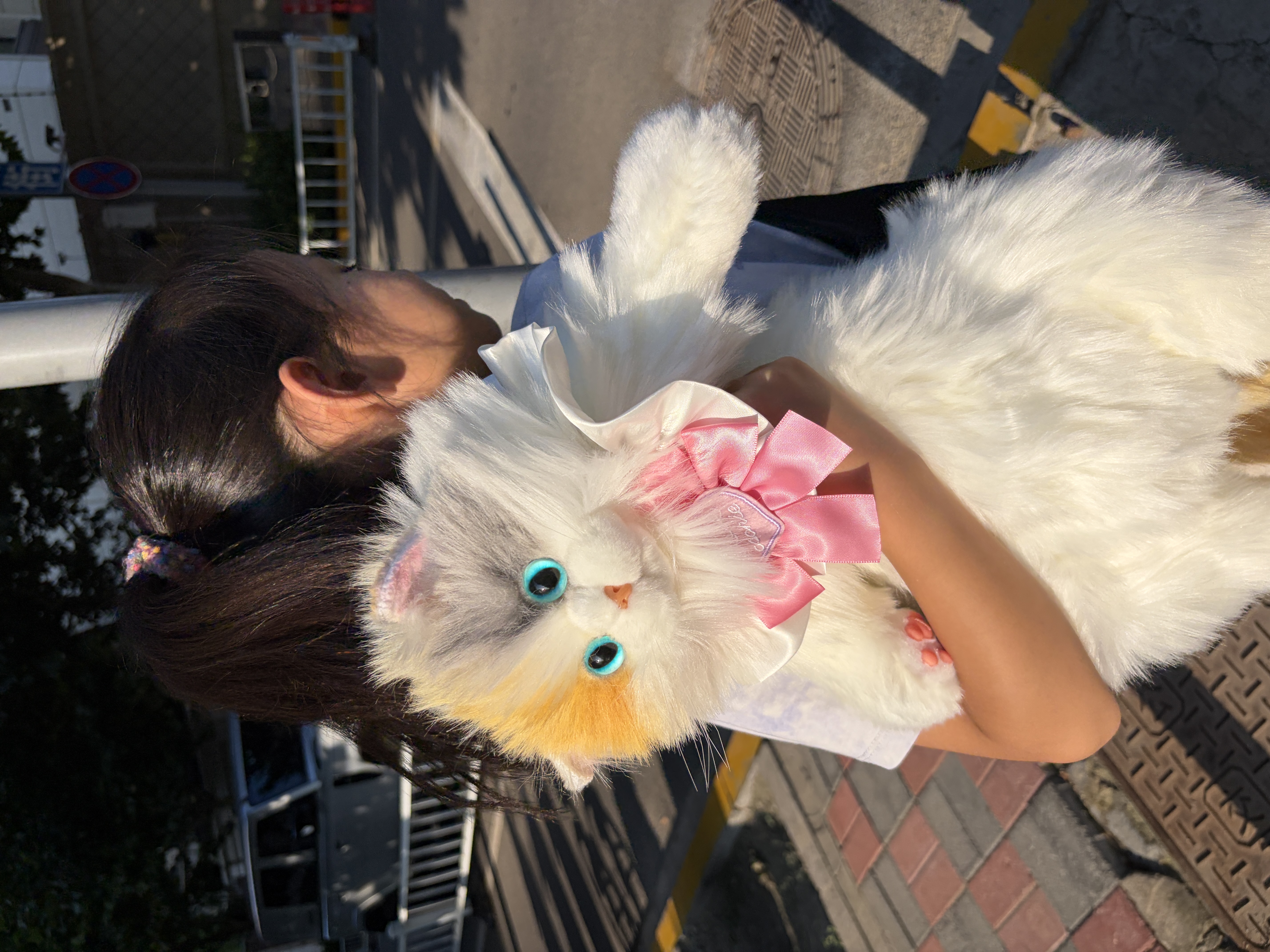 Chongker宠客淡三花猫背包仿真玩偶公仔毛绒玩具安抚送礼女生生日礼物 实拍图