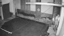 奥克斯4g太阳能摄像头室外无电无网终身免费流量免插电手机远程高清监控器家用户外360度无死角全景夜视 实拍图