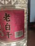 泸旗老白干白酒高粱酒 大曲浓香型粮食酒 桶装散酒纯粮酒泡酒口粮酒 60度 5L 1桶 老白干纯粮原浆 实拍图