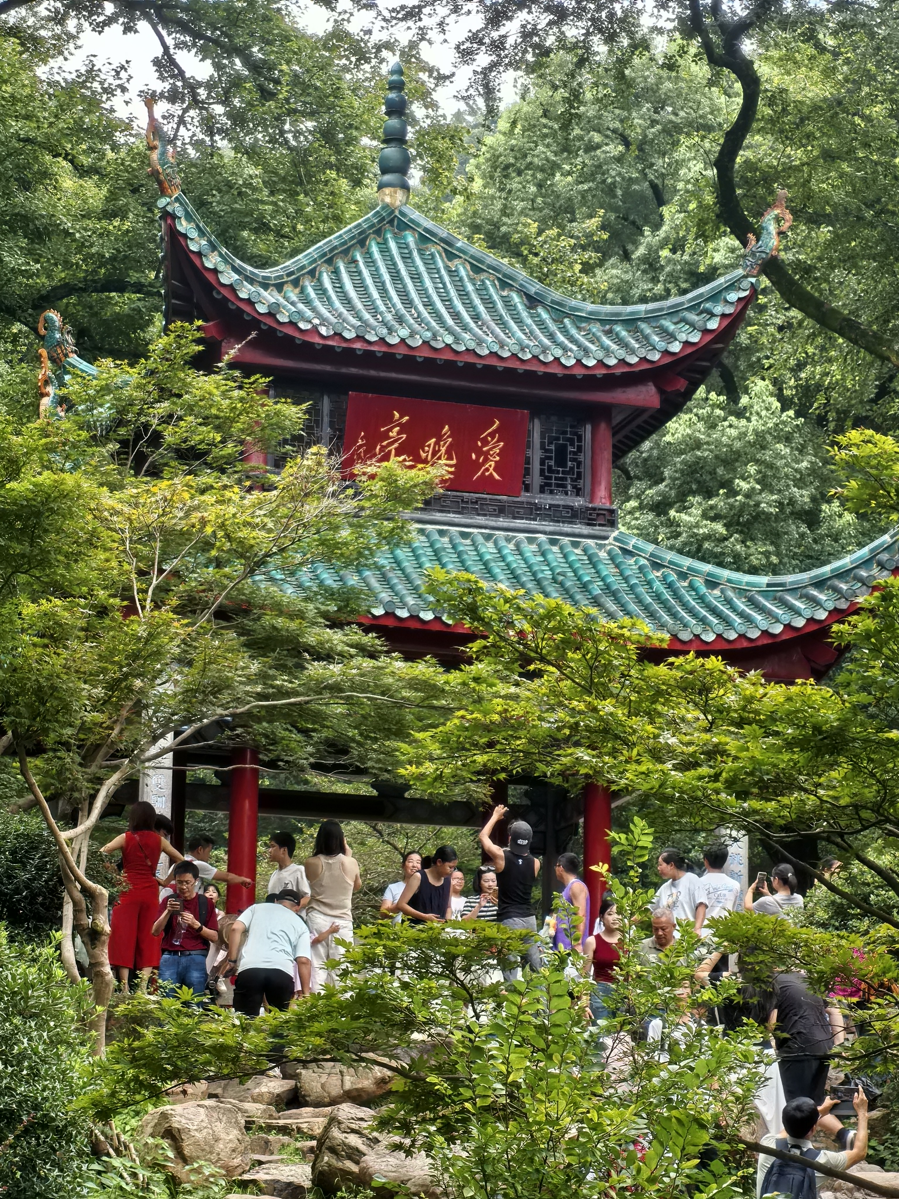 实习车贴磁吸新手上路车贴纸车用女司机实习牌反光汽车实刁车标志 磁吸式实习车贴-16*19cm 实拍图