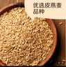 初萃中粮燕麦米2斤 全谷物米五谷杂粮 粥米伴侣 粗粮 营养早餐 罐装 实拍图