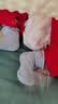 好奇（Huggies）铂金装小桃裤纸尿裤S96片(4-8kg)新生儿小号尿不湿【夏季散热王】 实拍图