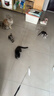 欢宠网猫玩具猫咪吸盘逗猫棒自动羽毛自嗨解闷神器铃铛猫猫幼猫小猫宠物 实拍图