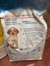 皇家狗粮 幼犬狗粮 宠物 小型犬 MIJ31 全价犬粮 2-10月 2KG 实拍图