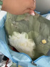 babycare爆款山茶花一次性内裤女士孕妇XXL码30条【 安全灭菌】 实拍图