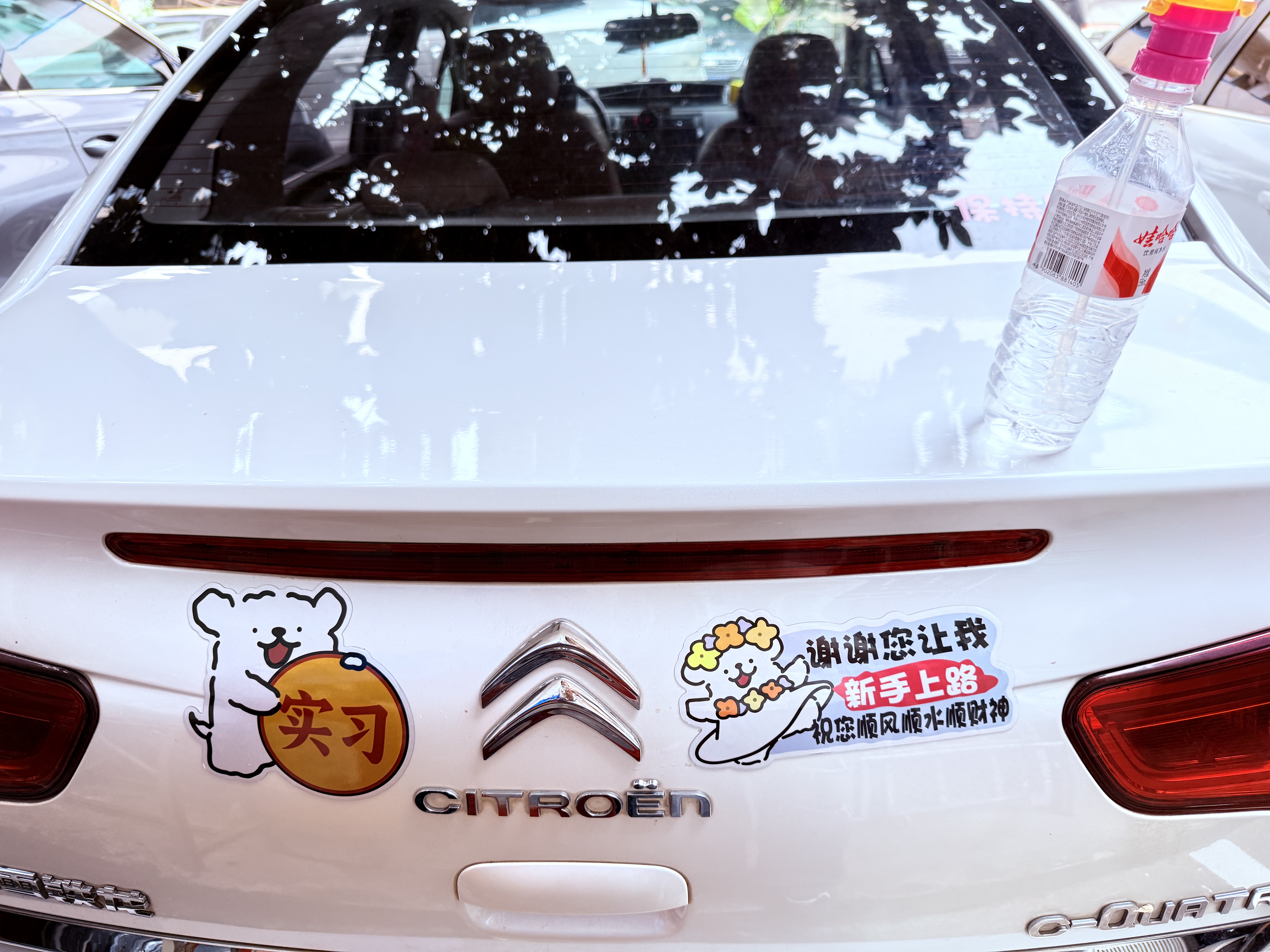 弗炫线条小狗车载实习贴可爱卡通反光车贴新手上路汽车磁性贴纸女司机 实拍图