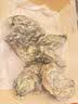 吉娜朵鲜活法国进口活体生蚝12只N0/N1/N4 生鲜牡蛎 即食刺身 源头直发 12N1 实拍图