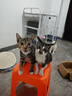 醇粹优鲜高鲜肉猫粮10斤全价冻干成猫幼猫鲜鸡鸭肉增肥长肉肠胃粮5kg 实拍图