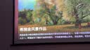 快朵小屋 100英寸16:9白玻纤挂壁幕布简易安装高清投影仪幕布【免打孔】办公投影机幕布极米坚果小米爱普生 实拍图