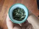一杯香茶叶茉莉花茶特级横县10g新茶茉莉绿茶自己喝散装试饮装试喝装 实拍图