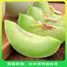 京鲜生 玉菇甜瓜2粒装 单果重2-2.8斤净重4-5.5斤 生鲜水果礼盒 实拍图