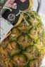 佳农 菲律宾黑钻甜心菠萝1.1kg 实拍图