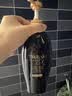 丝蓓绮（TSUBAKI）沁耀臻致奢养修护洗发露450ml 柔亮顺发洗发水抚平毛躁 实拍图