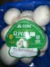 【烧烤季】白蘑菇(口蘑) 230g 实拍图